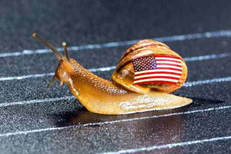 Snail under flag of United States on sports track moves to finish lineの写真素材