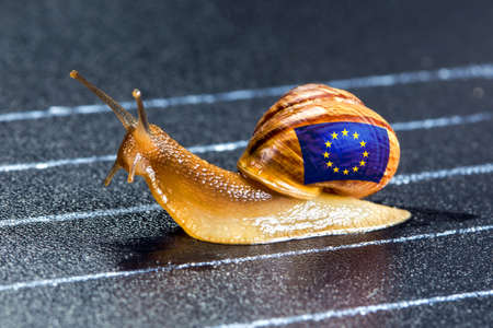 Snail under the flag of Europe on the sports track moves to the finish lineの写真素材