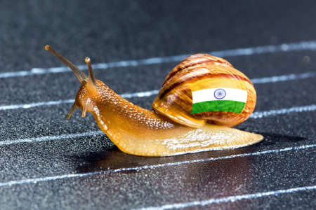 Snail under the flag of India on the sports track moves to the finish lineの写真素材