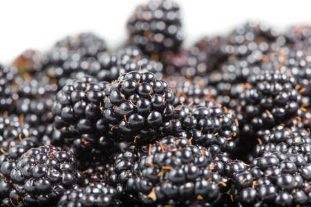 Ripe fresh blackberries close up. Rubus fruticosusの写真素材