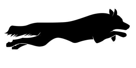 Running dogs Border Collie silhouette. Border Collie. Vector illustrationのイラスト素材