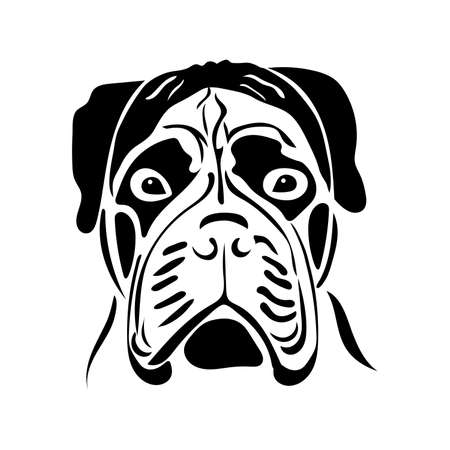 Portrait of a dog of the bullmastiff breed Vector illustrationのイラスト素材