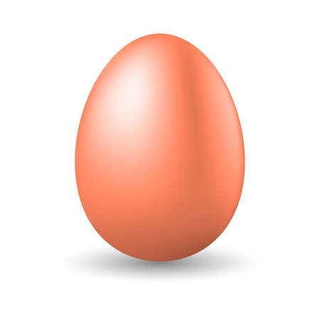 Realistic brown egg on white background. Vector illustrationのイラスト素材