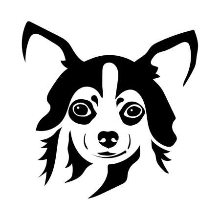 Portrait of a dog of the Chihuahua breed. Vector illustrationの写真素材