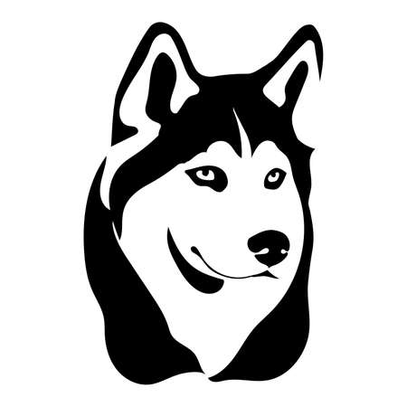 Portrait of a dog of the Siberian Husky breed. Vector illustrationのイラスト素材