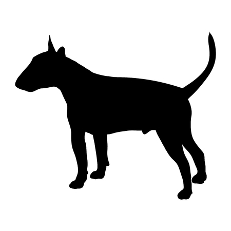 Bull Terrier dog on a white background. Silhouette. Vector illustrationのイラスト素材
