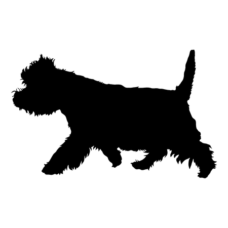 West Highland White Terrier on a white background. Silhouette. Vector illustrationのイラスト素材