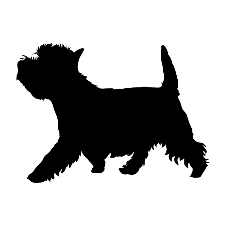 West Highland White Terrier on a white background. Silhouette. Vector illustrationのイラスト素材