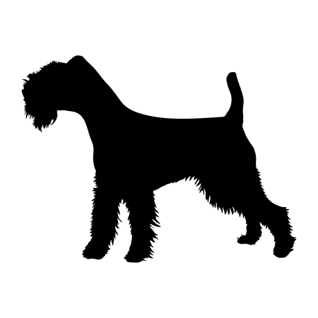 Soft-Coated Wheaten Terrier on a white background. Silhouette. Vector illustrationのイラスト素材