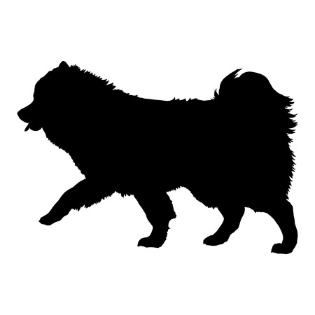 Volpino Italiano on a white background. Silhouette. Vector illustrationのイラスト素材