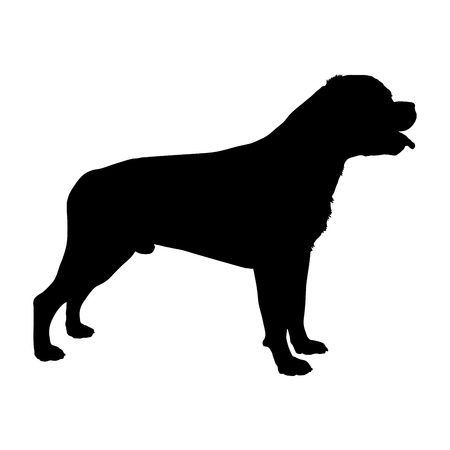 Dog Rottweiler breed on a white background. Silhouette. Vector illustrationのイラスト素材