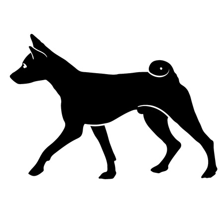 Dog Basenji breed on a white background. Silhouette. Vector illustrationのイラスト素材