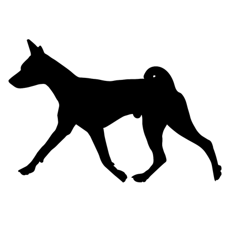 Dog Basenji breed on a white background. Silhouette. Vector illustrationのイラスト素材