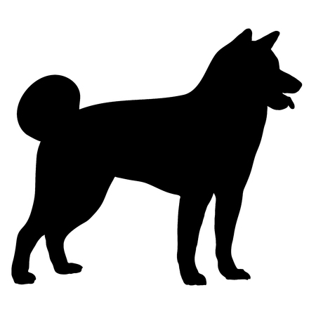 Akita dog in standing. Side view. Silhouette. Vector illustrationのイラスト素材