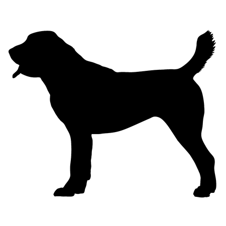 Central Asian Shepherd Dog. Vector illustration on white backgroundのイラスト素材