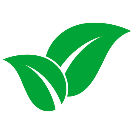Green leaves on white background.のイラスト素材
