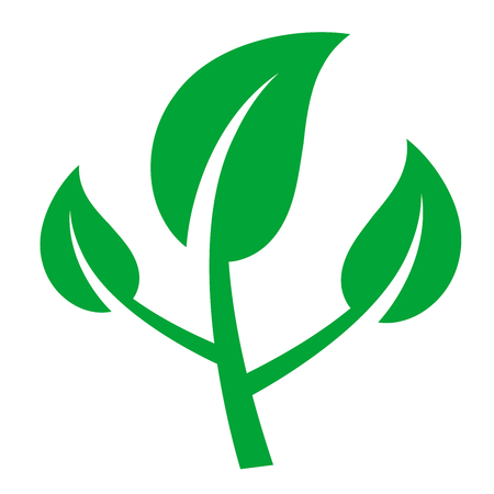 Green leaves on white background.のイラスト素材