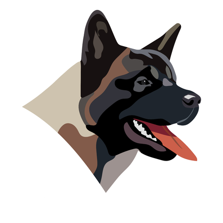 Portrait of American Akita dog.のイラスト素材