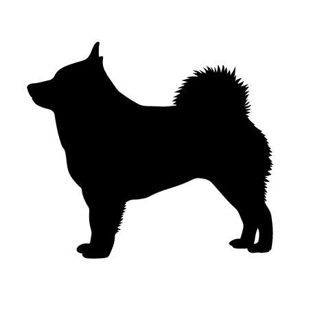 Dog Schipperke breed on a white background. Silhouette.のイラスト素材
