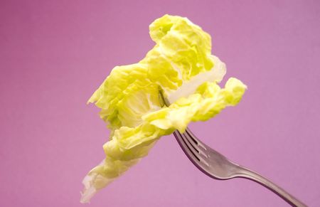 possesor and lettuce の写真素材