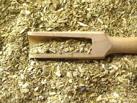 Dry yerba mate leaves, traditional drink of Argentina.