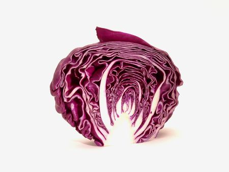 purple cabbage  の写真素材