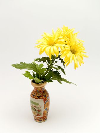 yellow daisiesの写真素材