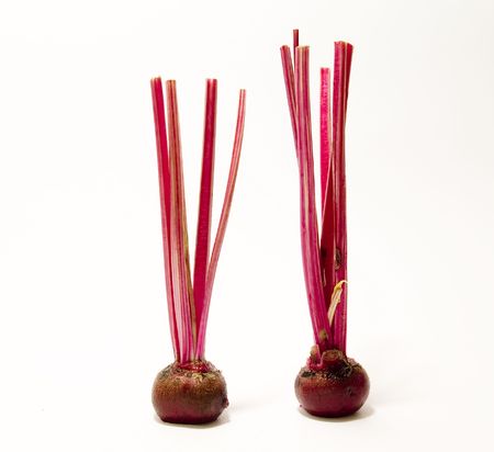 beets