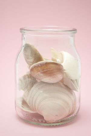 glass container with shellsの写真素材