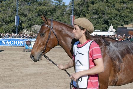 Argentina, Buenos Aires, July 27, 2010: Match race Argentine polo - The riders move their horses to be considered by the jury in the 124th exhibition of Livestock and Rural Argentina on the track of the rural society of Buenos Aires Argentina.のeditorial素材