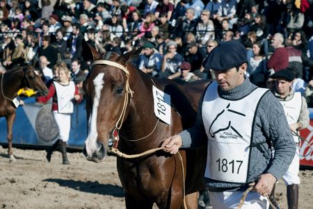 Argentina, Buenos Aires, July 27, 2010: Match race Argentine polo - The riders move their horses to be considered by the jury in the 124th exhibition of Livestock and Rural Argentina on the track of the rural society of Buenos Aires Argentina.のeditorial素材