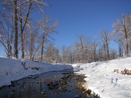 Winter sceneryの写真素材