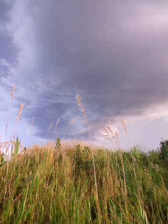Storm brewing in the Fieldの写真素材