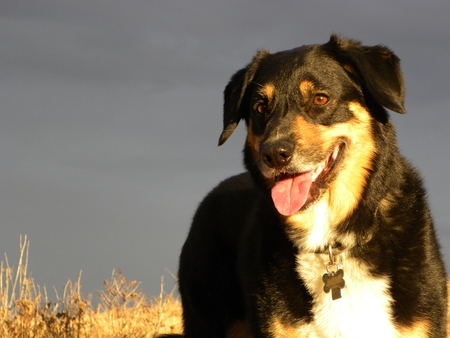 Happy to be Walkingの写真素材