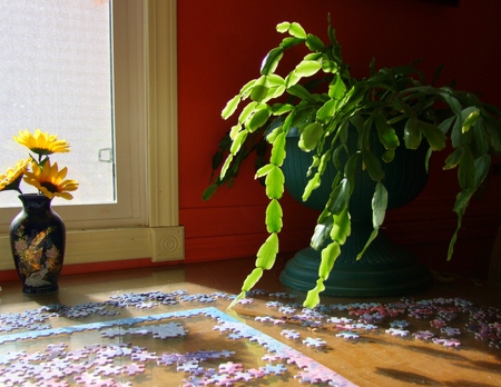 Puzzle by the Morning Lightの写真素材