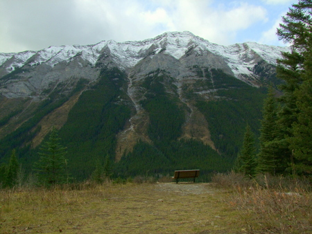 Bench by the Mountainの写真素材