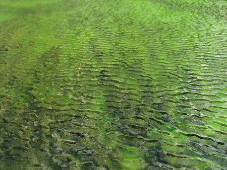 Ripples in the Pondの写真素材