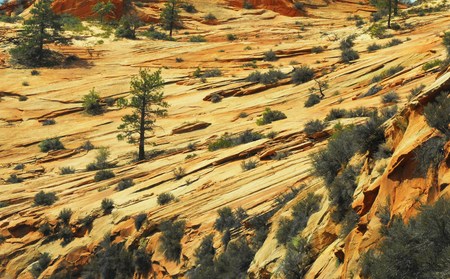 Cliff side drive through Zion Parkの写真素材