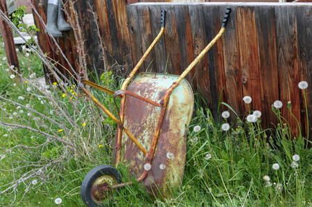 Wheel barrow leaning against the old homestead fenceの写真素材