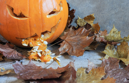 Halloween is fabulously sickの写真素材