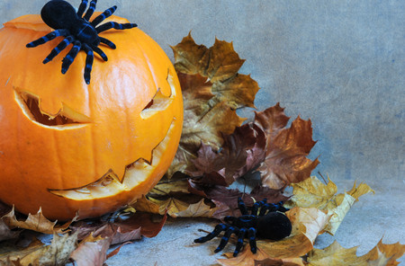 Spider fun with pumpkinの写真素材