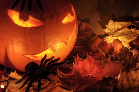 Halloween nightの写真素材