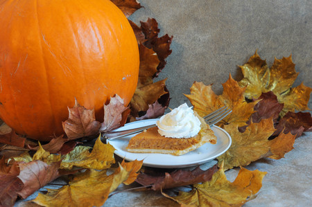 Thanksgiving Pumpkin Pieの写真素材