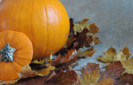 Carving the Pumpkinの写真素材