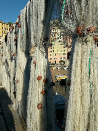 Between networksの素材