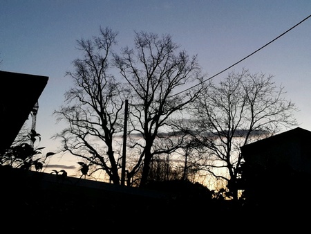 Sunset behind the housesの素材