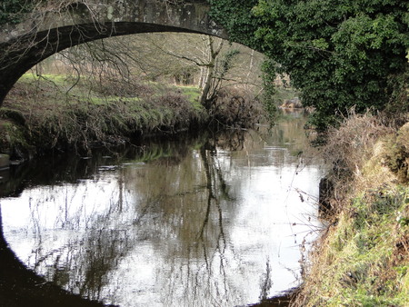 Reflection of bridge in the river water