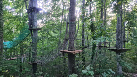Hanging bridge in the forest. Rope bridge in the forest.