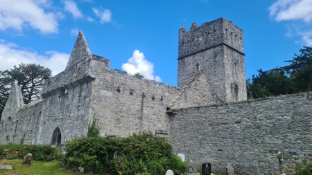Muckross Abbey is both an Old Irish Monastery & Modern Irish Graveyard