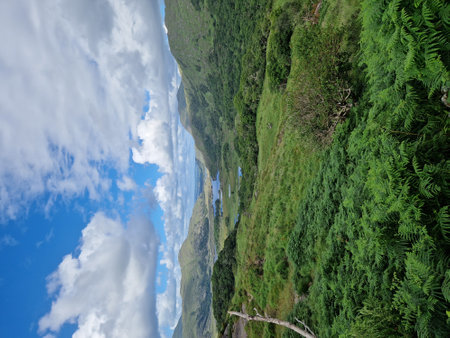 Mountain landscape with green grass and blue sky with white clouds.